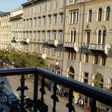 Center & - Fiori Di Trieste